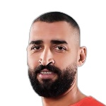 Amer Mohamed Amer